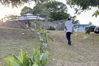 STX Weddings - 26