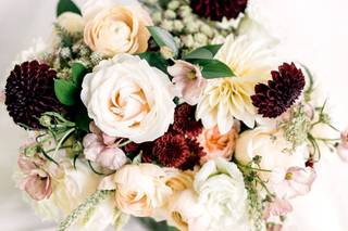 Holly Clark Photography - 6