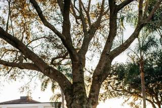 Vineyards Country Club - 66
