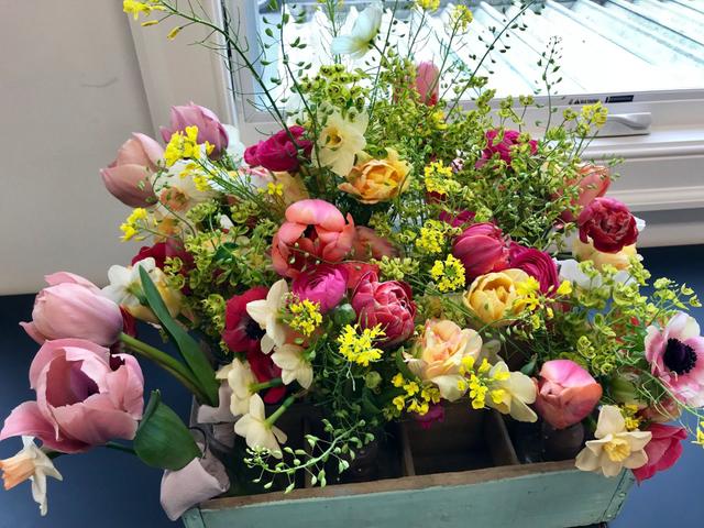 Humble Flowers - 4