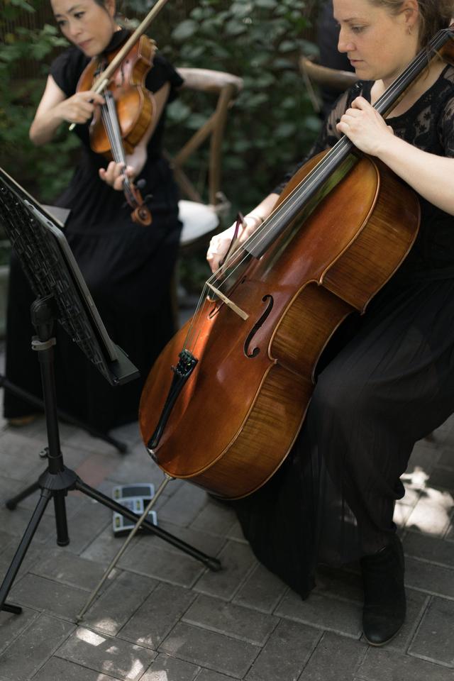 Puget Sound Strings - 2