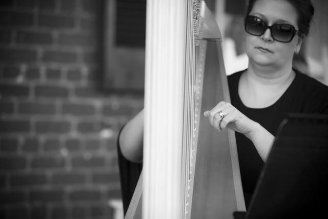 Melissa Tardiff Dvorak, Harpist - 4
