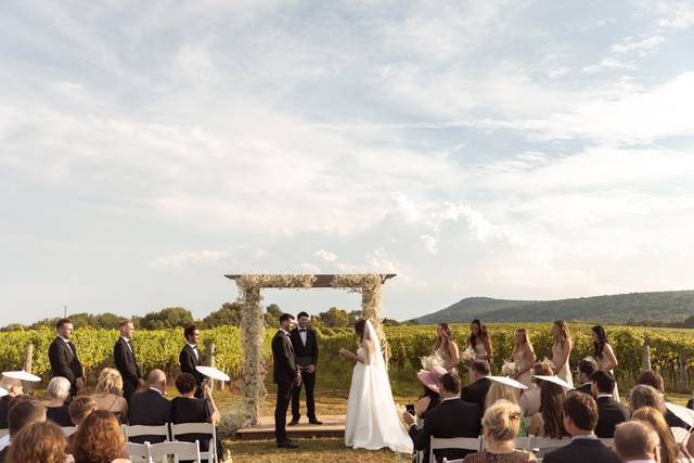 Big Cork Vineyards 4