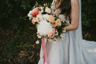 Plume Events - 20