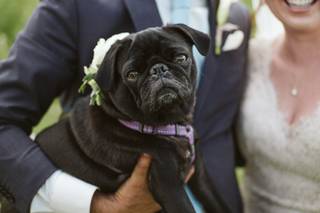 La Dolce Events - 6