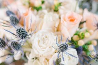 Rachel Stelter Photography - 8