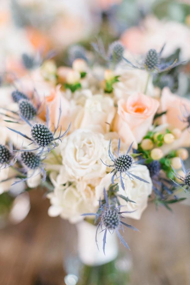 Rachel Stelter Photography - 2