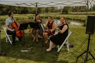 Stillwater String Quartet - 14
