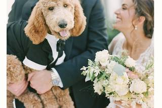 Brie Thomason Photography - 8