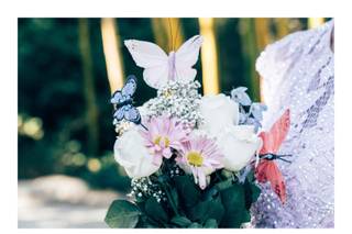 Zane W. Photography - 6