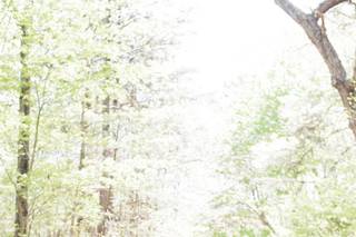 Rebecca Hicks Photography - 75