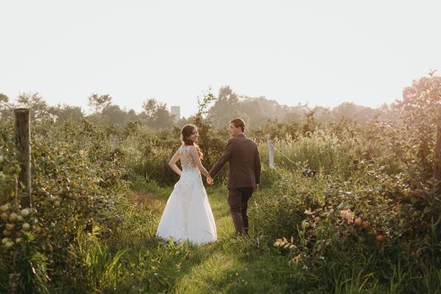 Promani Weddings 4