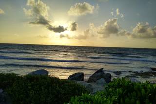 Honeymoons, Inc. - 66