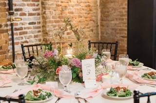 Noble Sparrow Photography - 5