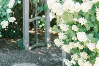 Whistler's Knoll Vineyard - 46