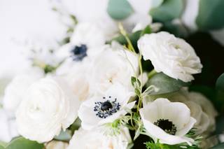 Forget Me Not Flowers - 9