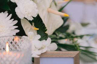 Viviana Vieto Photography - 15