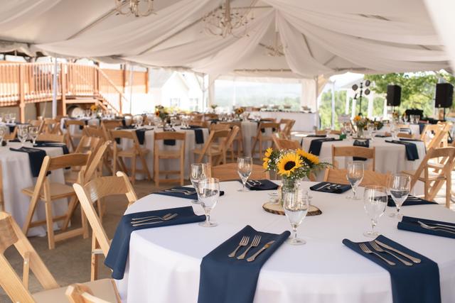 Longleaf Vineyard - 1