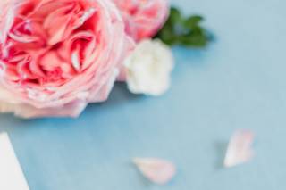 Opal & Onyx Photography - 6