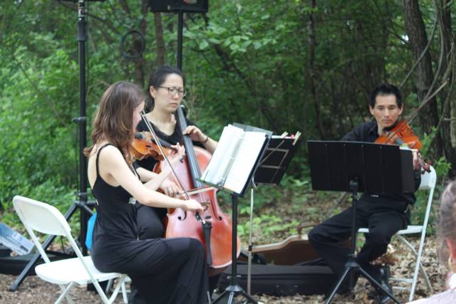August Strings 1
