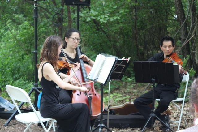 August Strings - 1