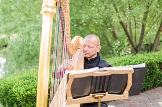 Vince Zentner Harpist - 6