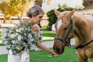 Wildflower Photo Co. - 42