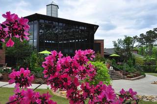 Cape Fear Botanical Garden - 7