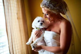 Premier Digital Photography & Wedding Cinema - 51