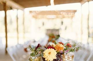 American Party Rentals - 9