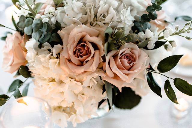 Barbara Bell Design 3