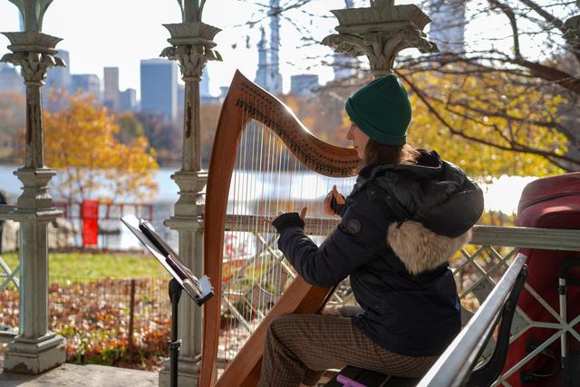 Stephanie Babirak, Harpist - 4