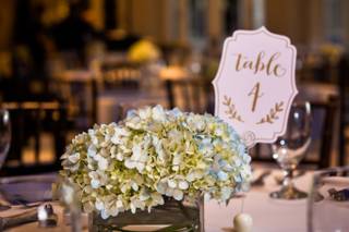 Party Blooms - 9