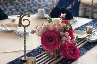 Events by Shadia - 7