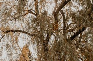 Lexi Foster Photography - 40