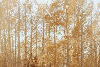 Earth Below Photo - 14