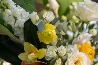 Jonathan Dyer Photography - 90