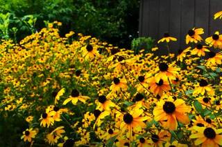 Hines Hill Campus at Cuyahoga Valley National Park - 17