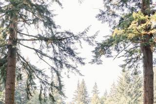 Sweetlife Photography 2