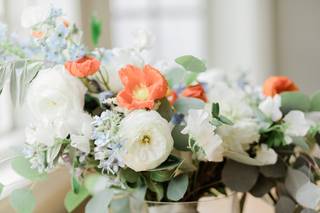 The Painted Primrose - 23