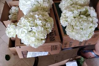 Sunshine flowers - 5