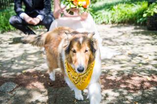 Wes Mosley Photography - 6