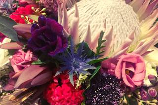 Phillip's Flowers - 19