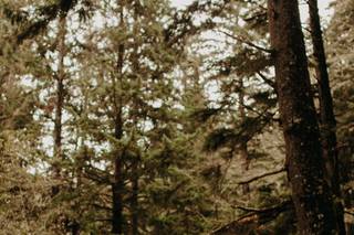 Olivia Louise Photography LLC - 7