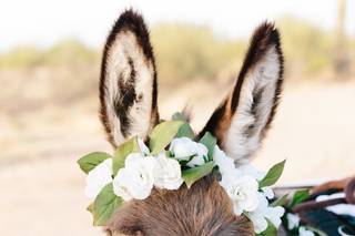 What A Day Weddings - 8