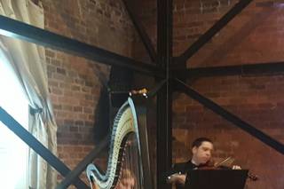 Tyler Hartley Atlanta Harpist - 16