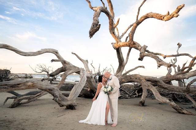 Sarah Hedden Photography 5