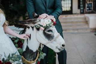 Haul N Ass Productions - 114