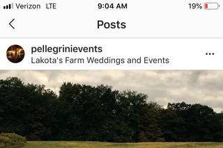 Pellegrini Events - 8