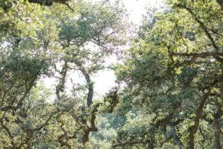 The Addison Grove - 25